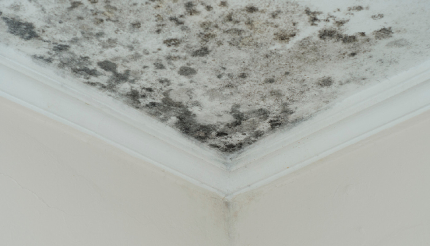 Rénovation - Pour éviter l’humidité dans votre maison, découvrez les solutions de Reno Gironde !